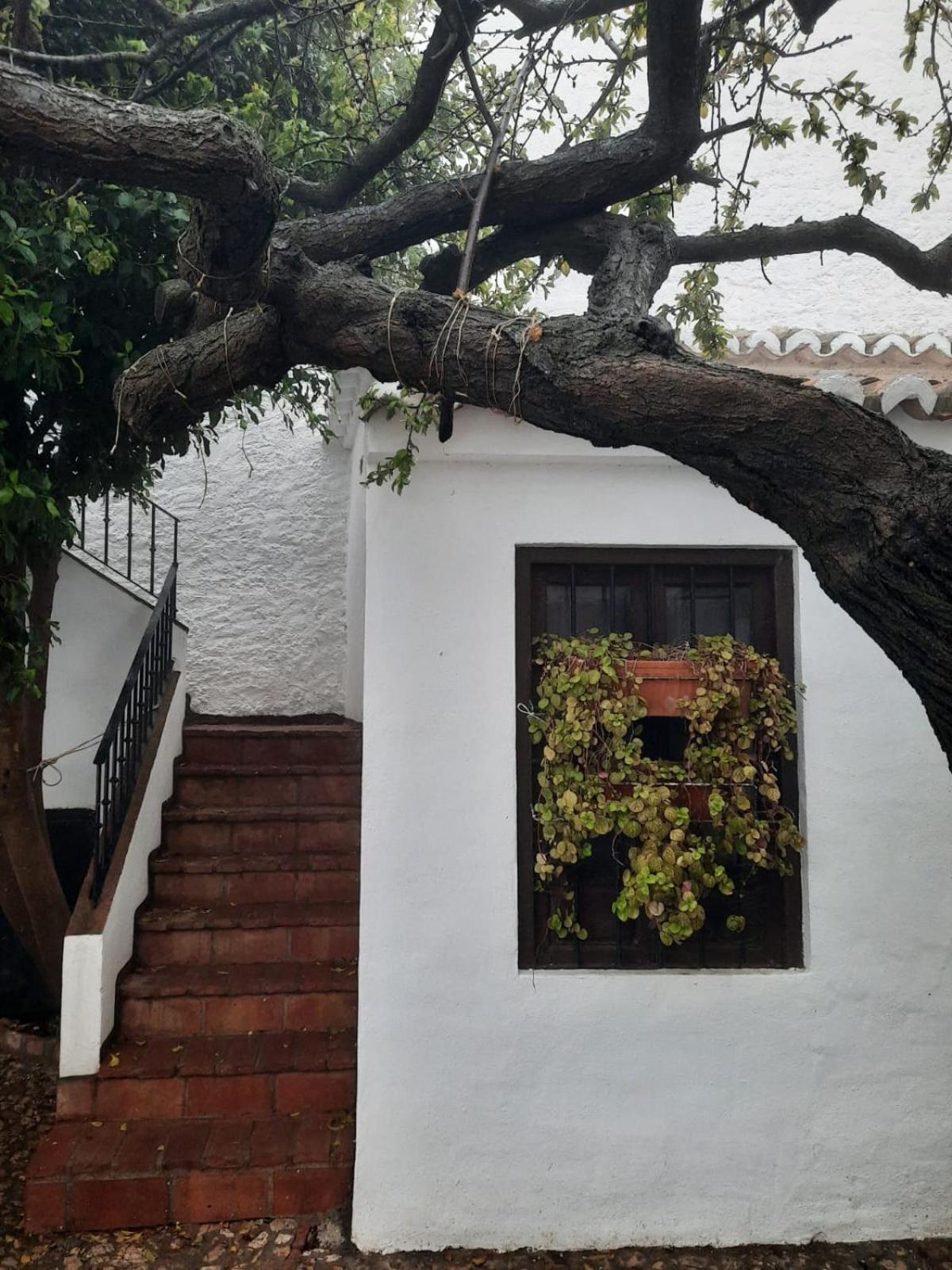 Hotel Rural Verde Oliva Comares Rum bild