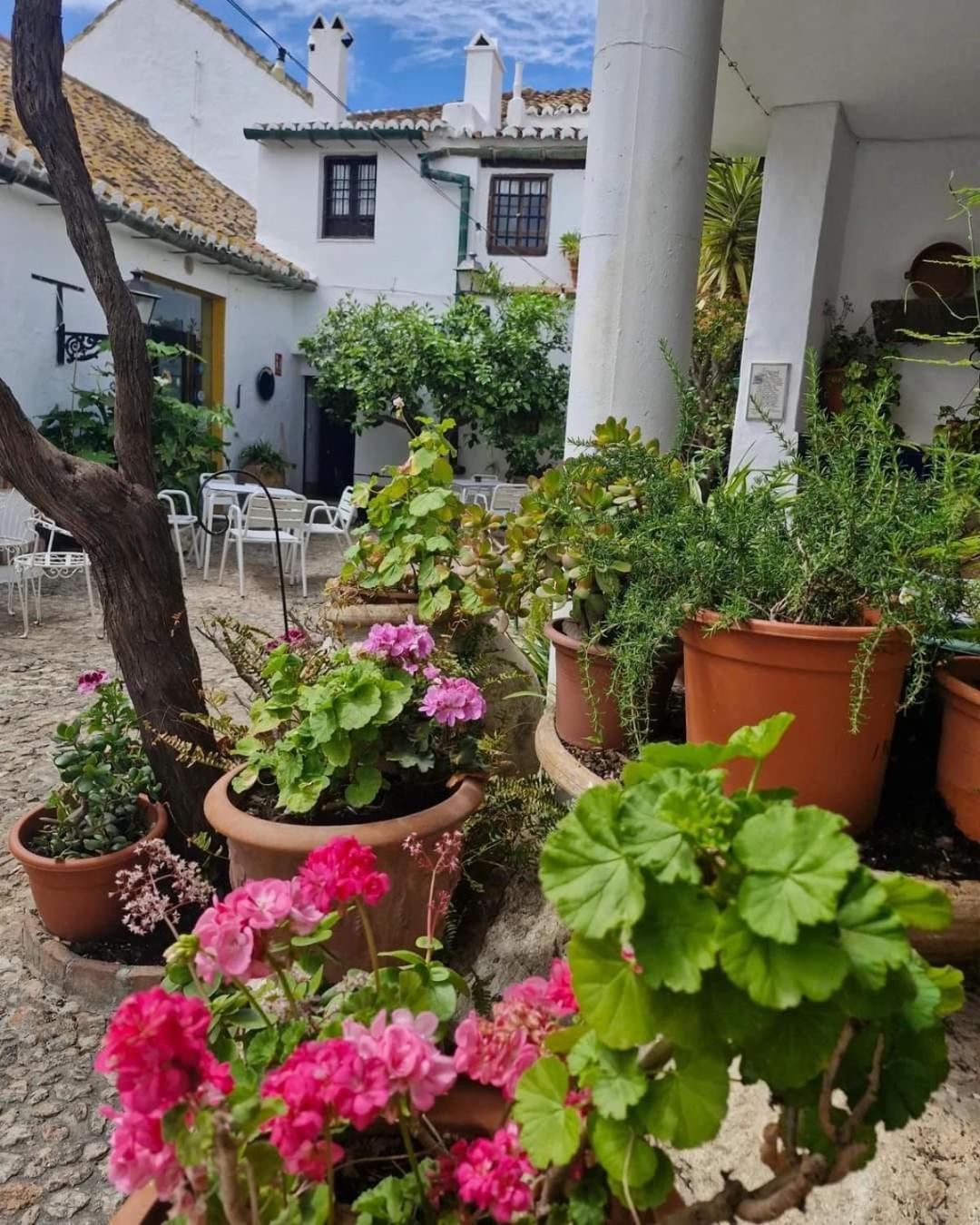 Hotel Rural Verde Oliva Comares Exteriör bild