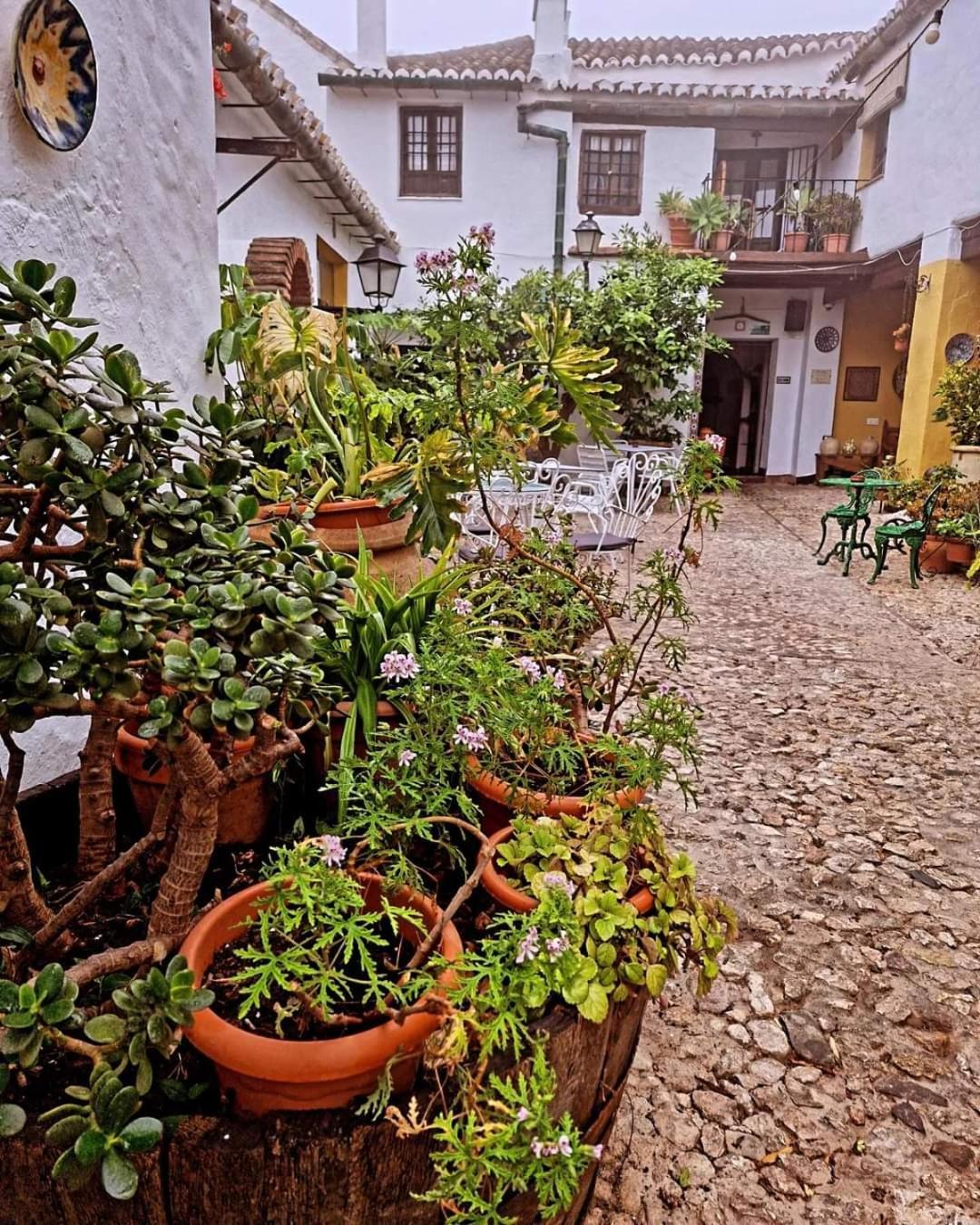 Hotel Rural Verde Oliva Comares Exteriör bild